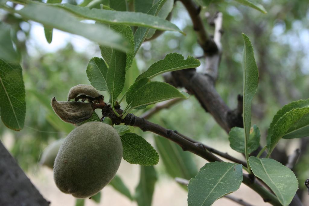 לינה וארוחת בוקר טורה דלה סטלה Sumindulau מראה חיצוני תמונה